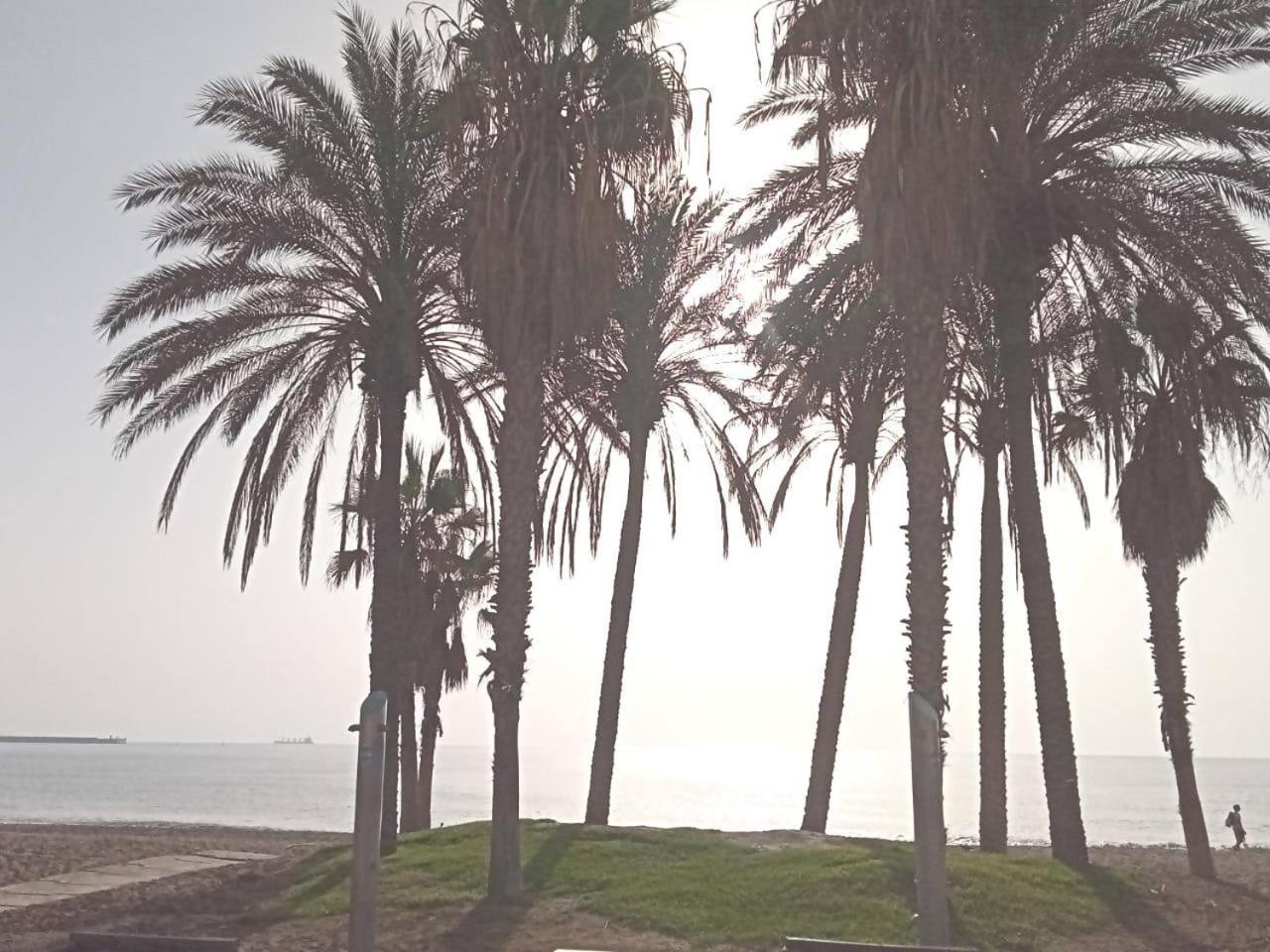 El Rebalaje Centro Playa 말라가 외부 사진